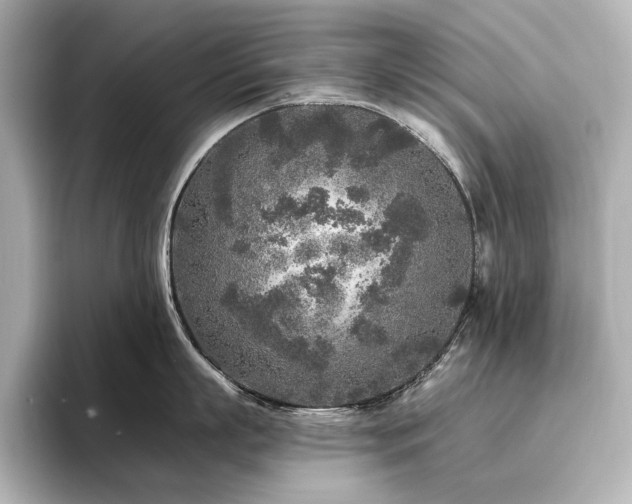 X0000096450863200801241417