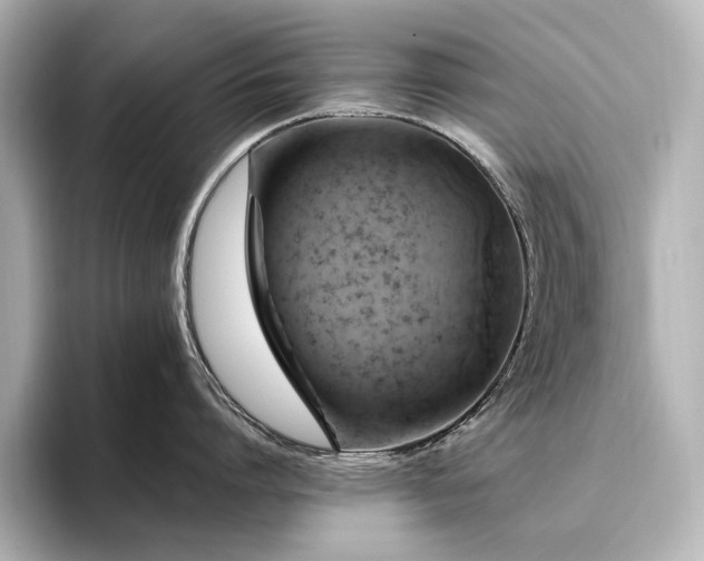 X0000096450864200801241417