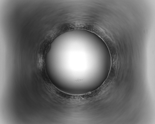 X0000096450866200801241417