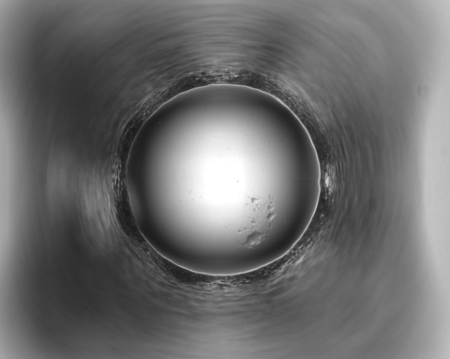 X0000096450867200801241416