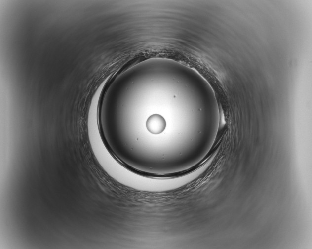 X0000096450868200801241416