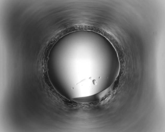 X0000096450870200801241416