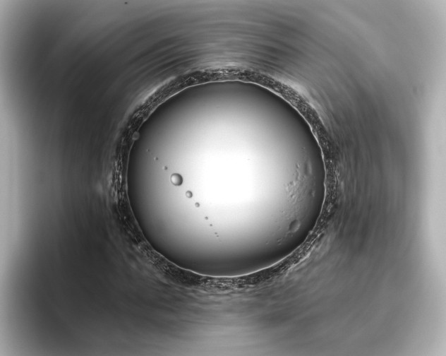 X0000096450871200801241416