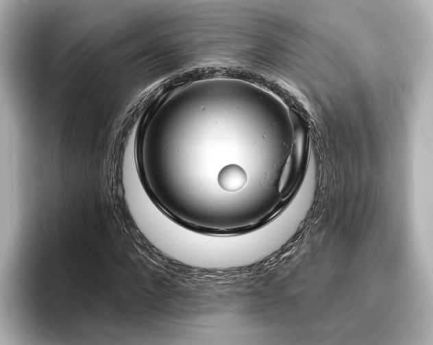X0000096450872200801241416