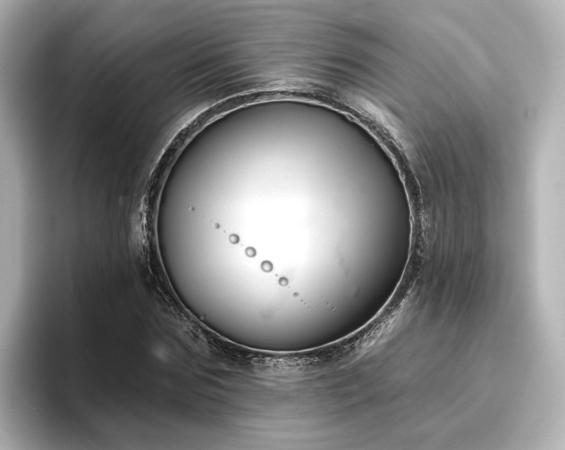 X0000096450875200801241416