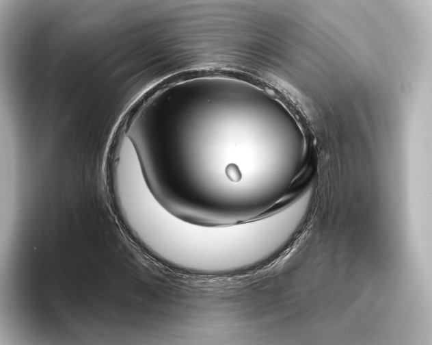 X0000096450876200801241416
