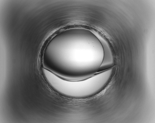 X0000096450877200801241416