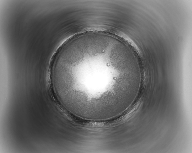 X0000096450878200801241416