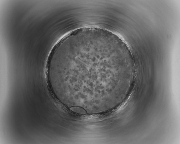 X0000096450879200801241416
