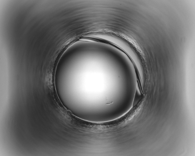 X0000096450881200801241416