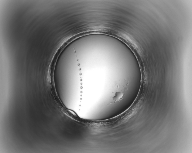 X0000096450883200801241416