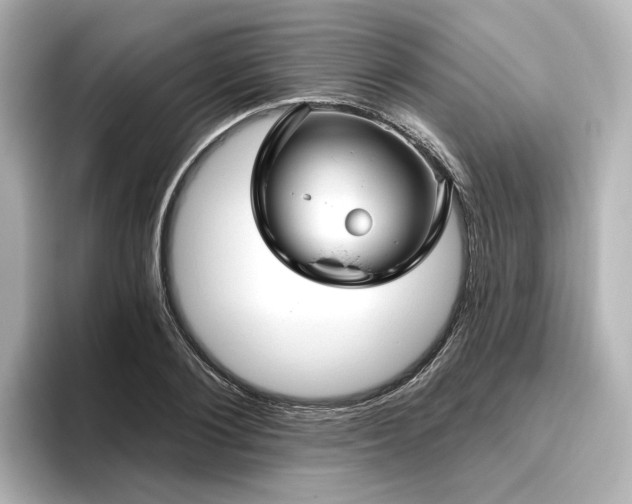 X0000096450884200801241416