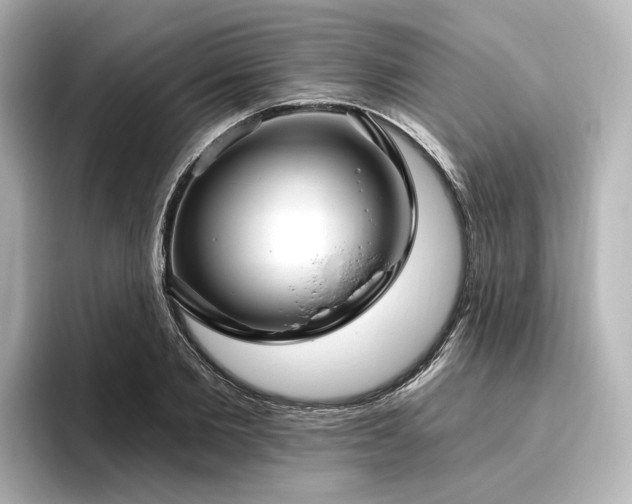 X0000096450885200801241416