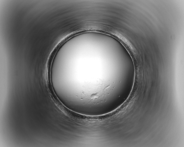 X0000096450886200801241416