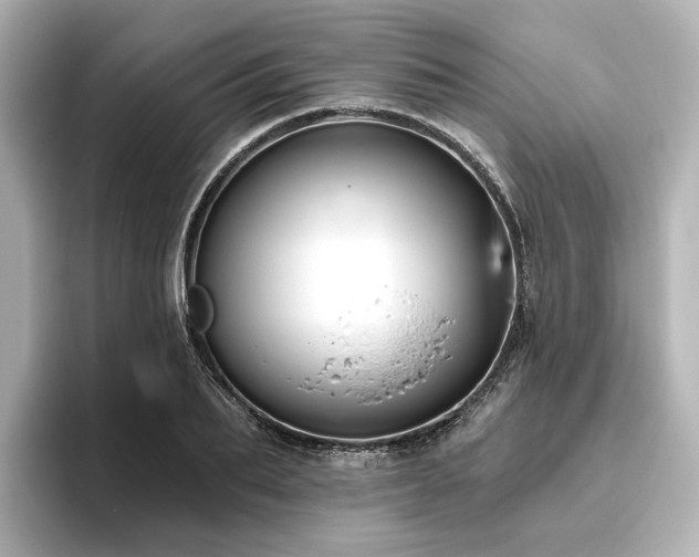 X0000096450887200801241416