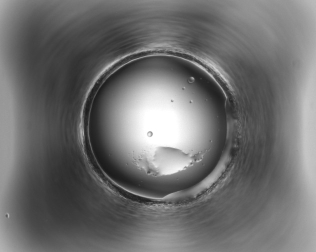X0000096450888200801241416
