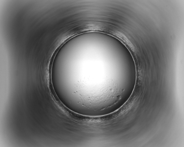 X0000096450890200801241416
