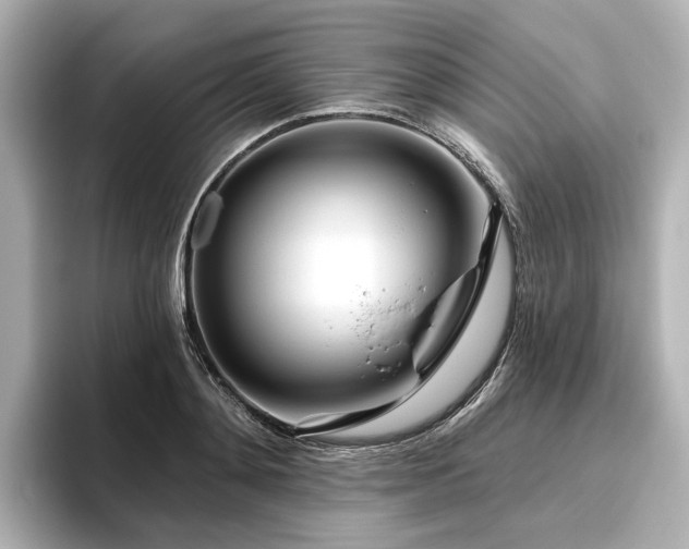 X0000096450892200801241416