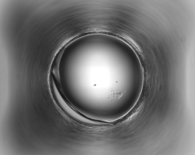 X0000096450893200801241416