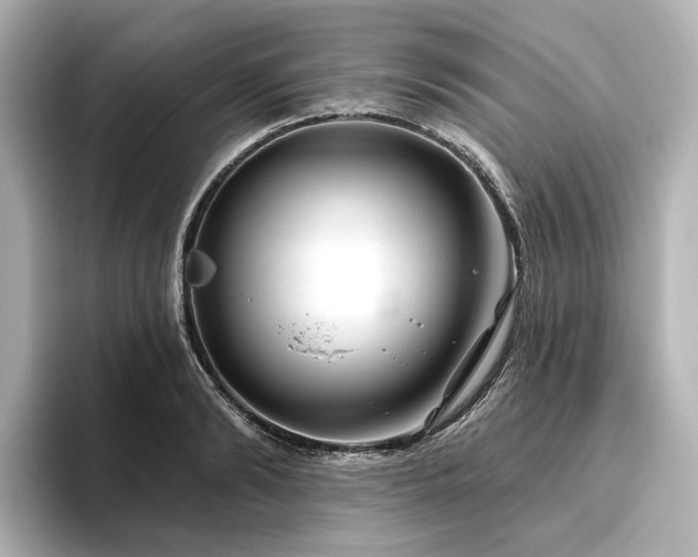 X0000096450894200801241416