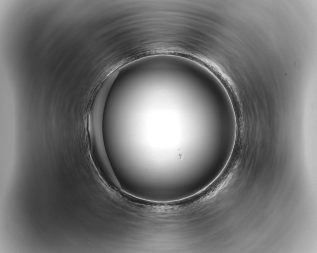 X0000096450897200801241416