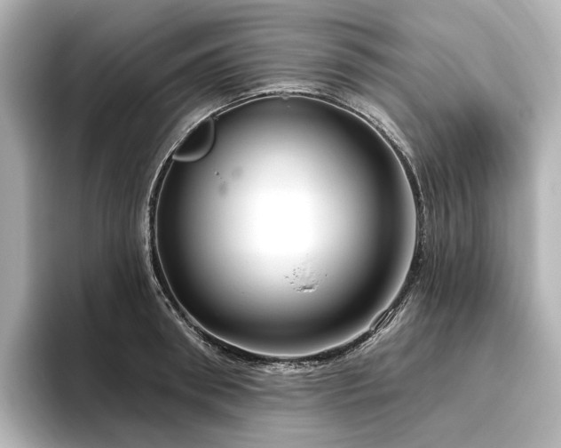 X0000096450898200801241416