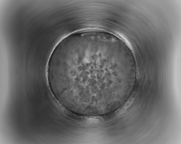 X0000096450899200801241416