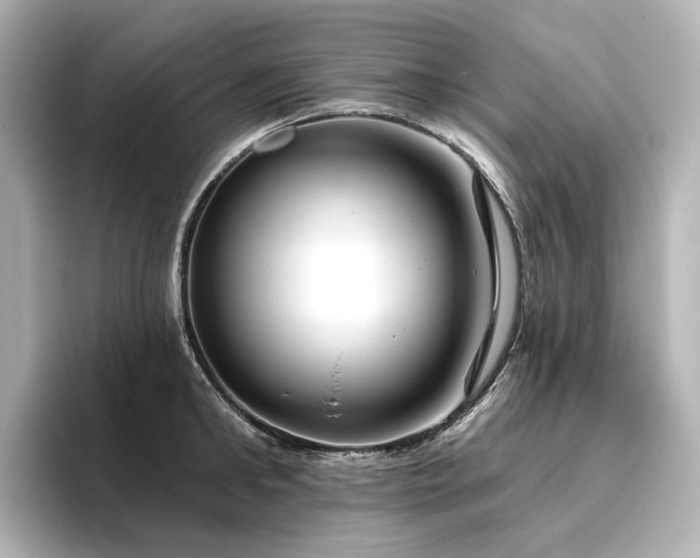 X0000096450902200801241416
