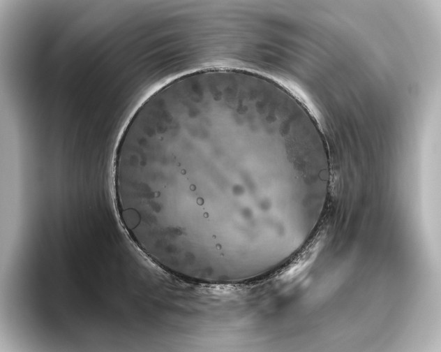 X0000096450903200801241416