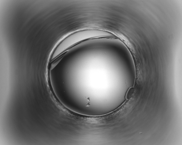 X0000096450904200801241416