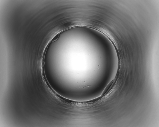 X0000096450906200801241416