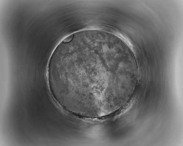 X0000096450907200801241416