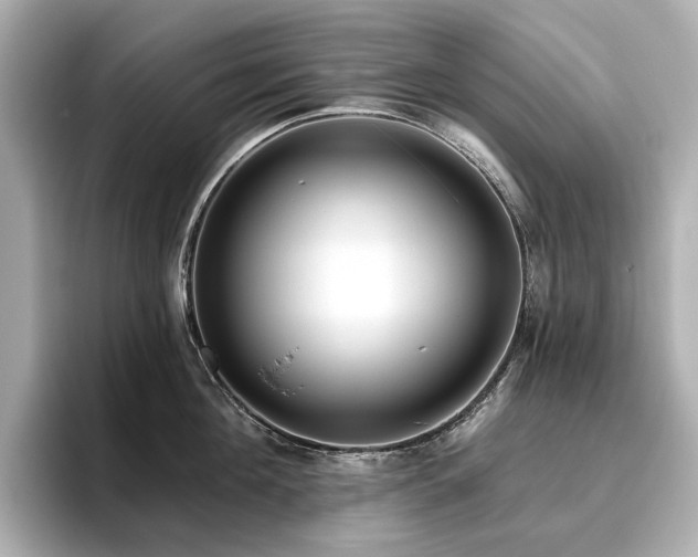 X0000096450908200801241416
