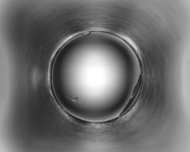 X0000096450910200801241416