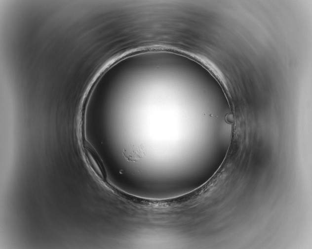 X0000096450911200801241416