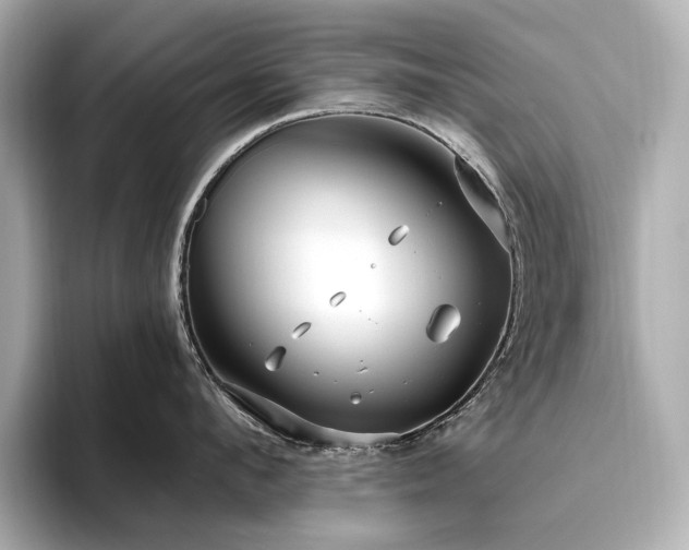 X0000096450912200801241416