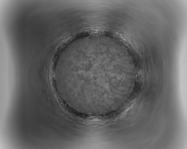 X0000096450913200801241415