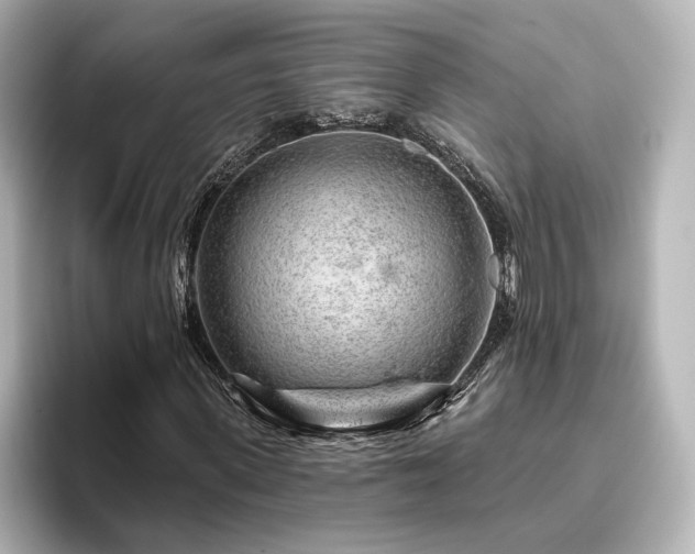 X0000096450915200801241415