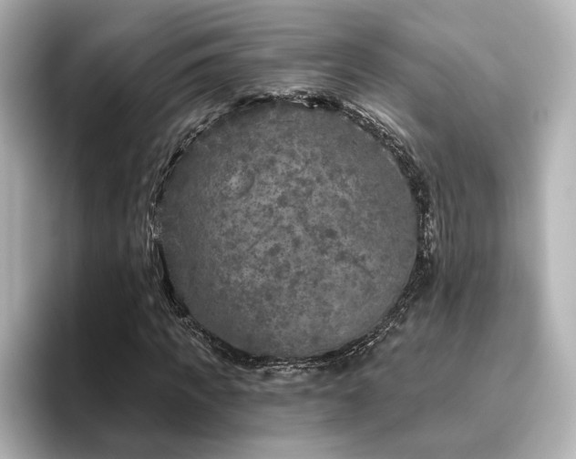 X0000096450917200801241415