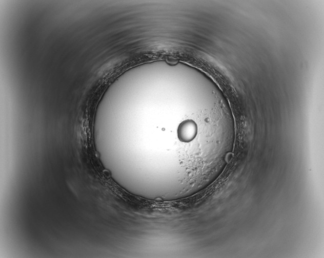 X0000096450918200801241415