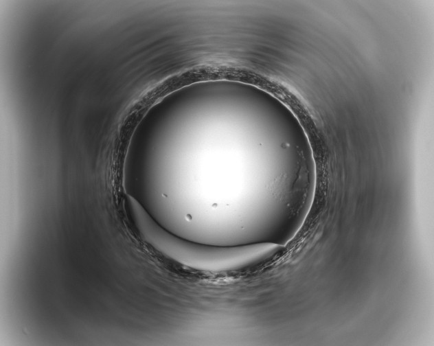 X0000096450919200801241415