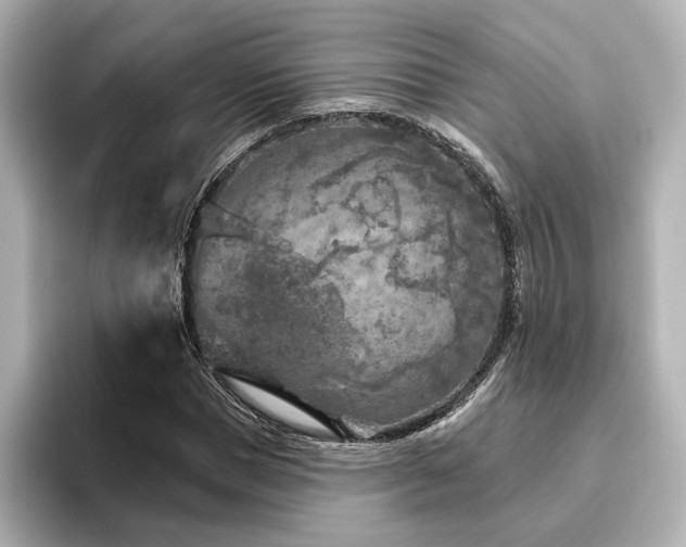 X0000096450921200801241415