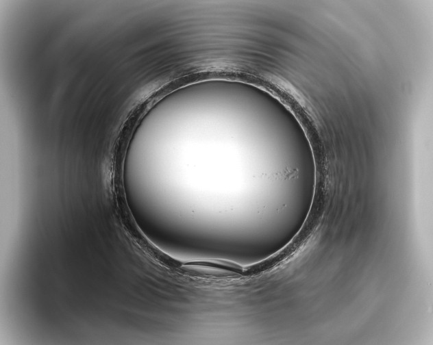 X0000096450922200801241415