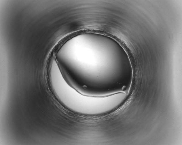 X0000096450923200801241415
