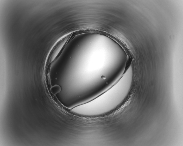 X0000096450924200801241415