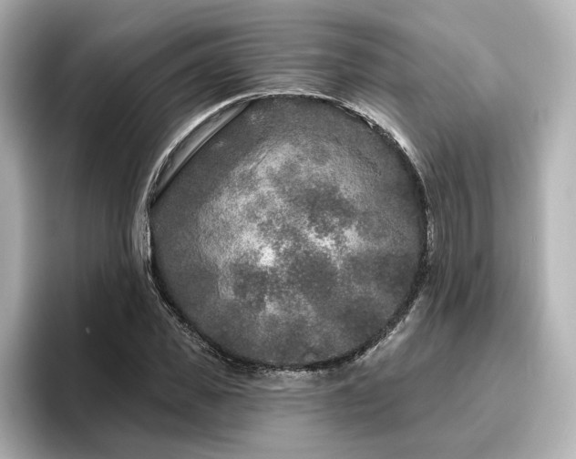 X0000096450925200801241415