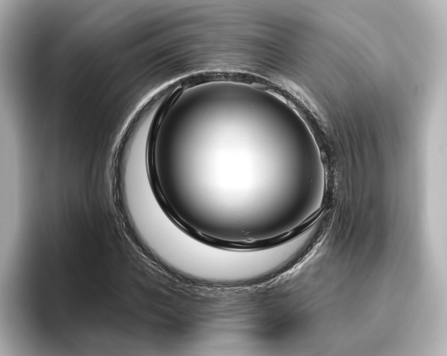 X0000096450926200801241415