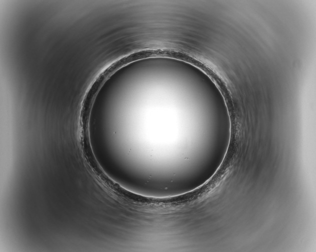 X0000096450927200801241415