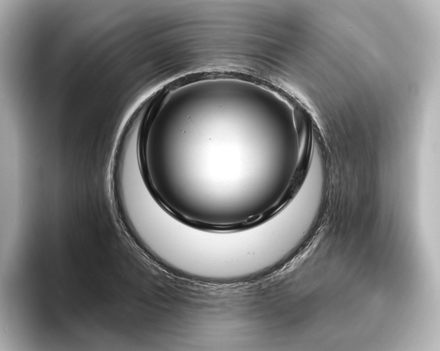 X0000096450928200801241415