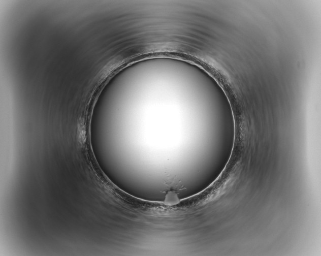 X0000096450929200801241415